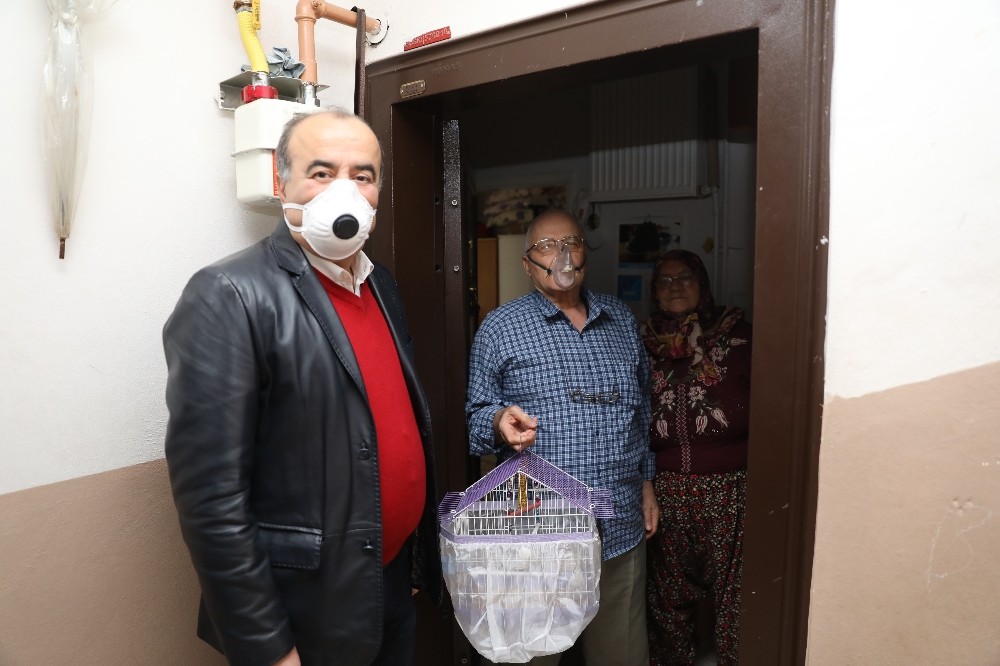 Türkyılmaz’dan 78 yaşındaki çifte sürpriz 