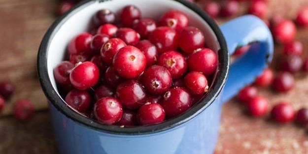 Turna yemişi antibiyotik kullanmanızı önlüyor