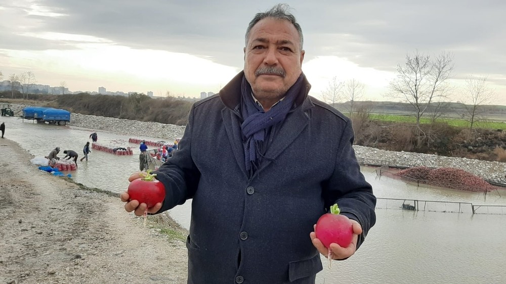 Turp üreticisinden Çinlilere “Turp yiyin turp gibi olun” tavsiyesi 