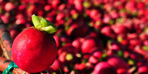 İşte tam bir 'C vitamini' deposu