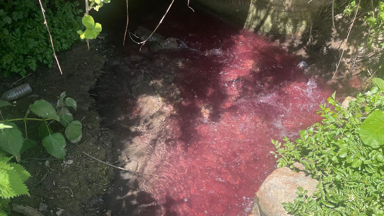 Turşu atığı doğayı çürüttü