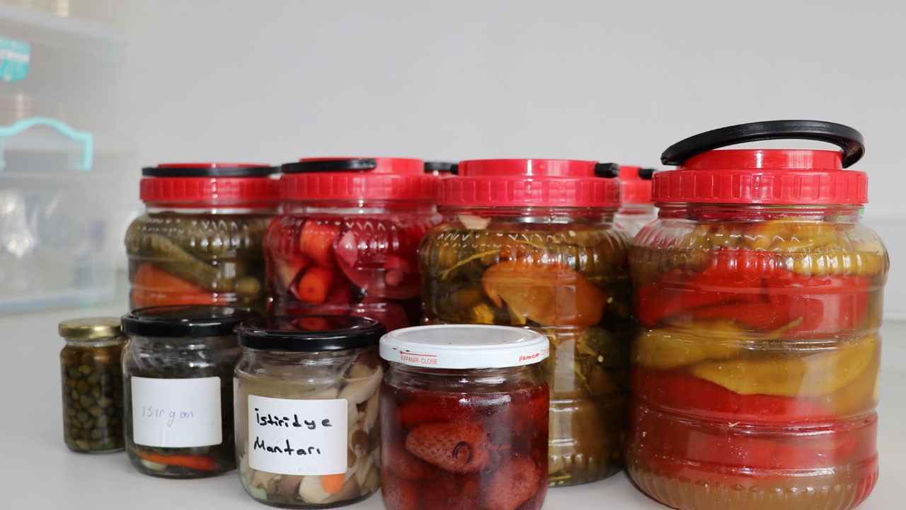 Turşudan tarıma dev adım! Laktik asit bakterileriyle bitki hastalıklarına doğal çözüm