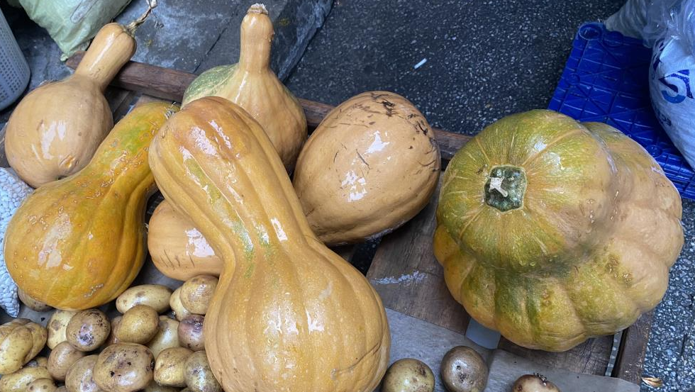 Turuncu şifa! Hem kendisi hem de çekirdeği şifa