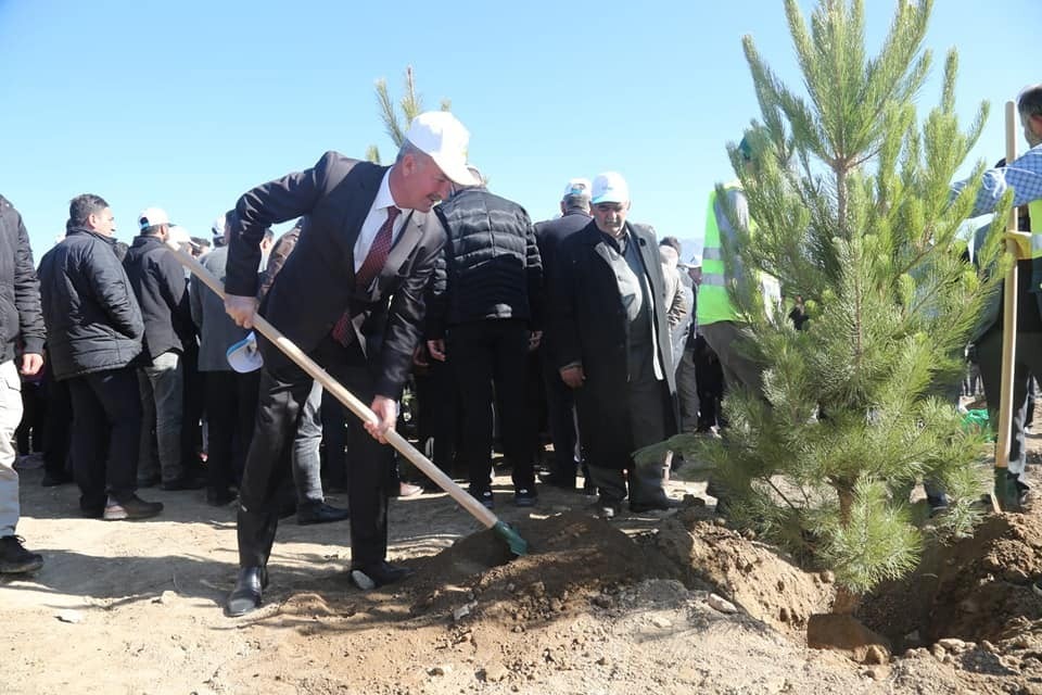 Tuşba Belediyesinden ‘Model Ceviz Bahçesi’ Projesi 