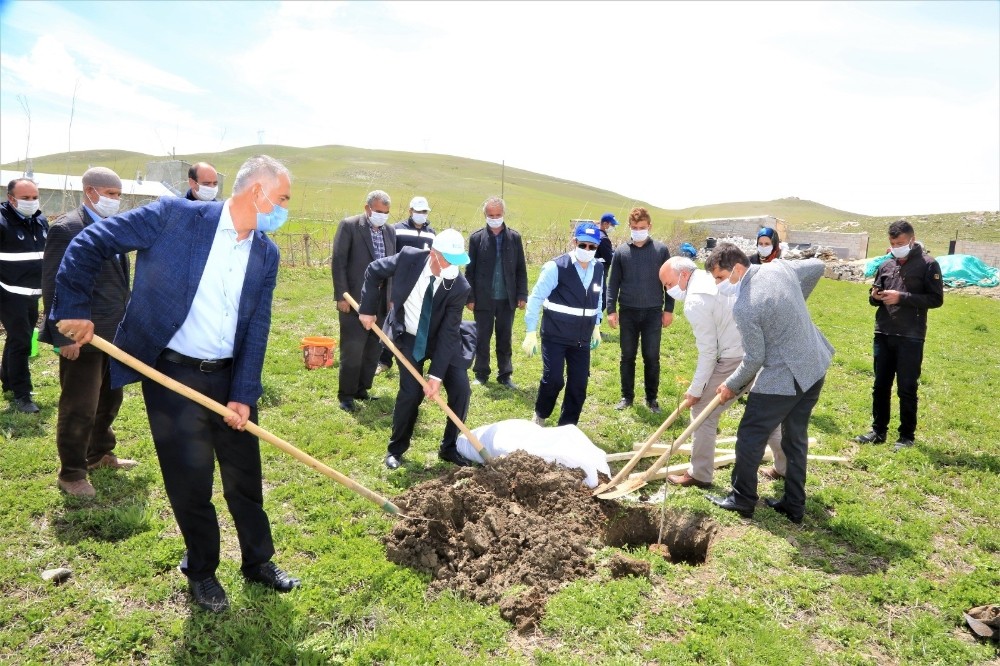 Tuşba Belediyesinden ‘Model Ceviz Bahçesi’ projesi 