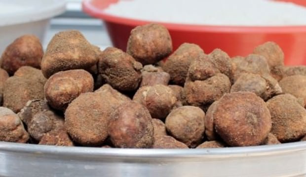 Tutkunları ondan vazgeçemiyor