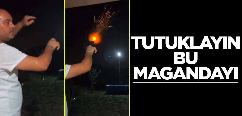 Tutuklayın bu magandayı! Akılalmaz görüntüler