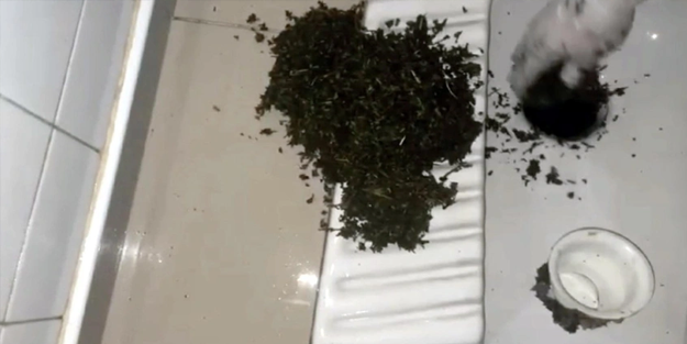 Tuvalet deliğinden çıkan 'yok artık' dedirtti!