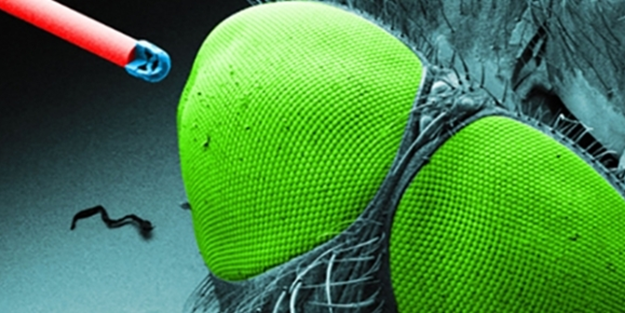 Tuz tanesinden bile küçük kamera üretildi