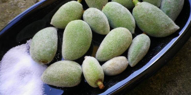 Tuzla tüketilen çağlanın öyle faydaları var ki... Adeta vitamin deposu!