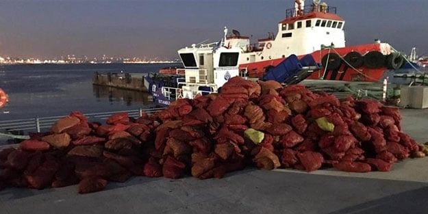 Tuzla'da çok sayıda midye ele geçirildi