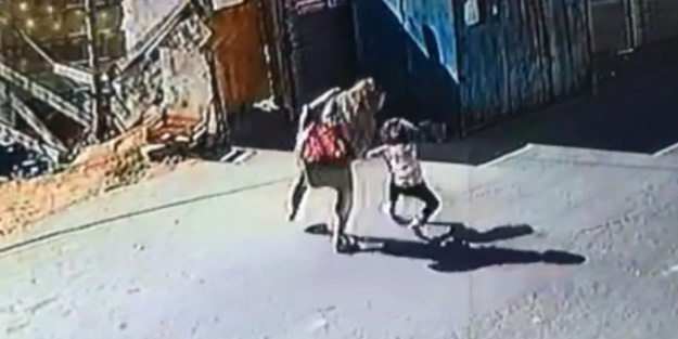 Tuzla’da anne dehşeti! Yaşadıkları ev kan dondurdu