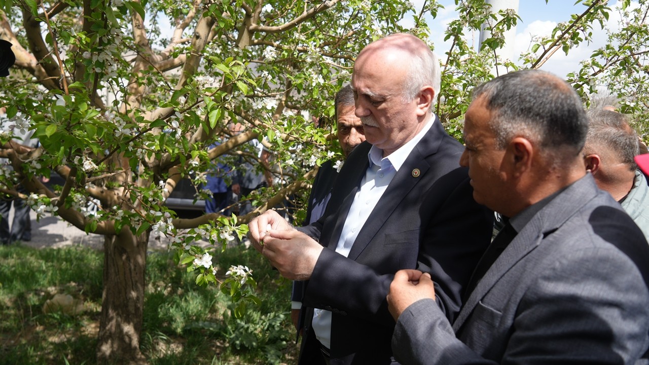 TZOB Başkanı Bayraktar: Niğde’de zirai don felaketi, elma bahçelerinde yüzde 90’ın üzerinde zarar var