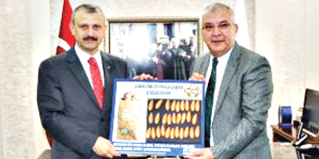 Üç ildeki ‘askıda ekmek’ projesine ilgi artıyor