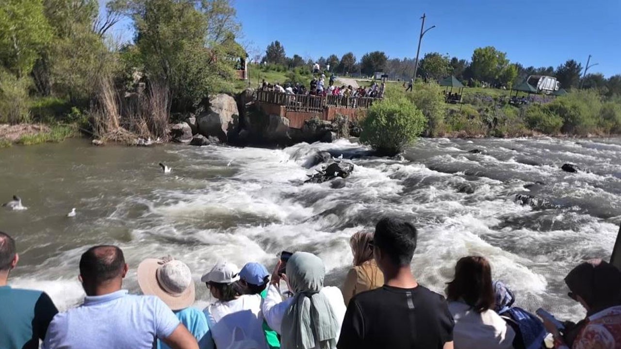 Uçan balıkların göçü ilgi odağı oldu