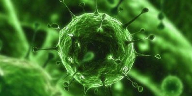 Uçuktan bu doğal yöntemle kurtulun