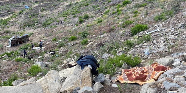 Uçuruma devrilen kamyonetin sürücüsü öldü, inekler telef oldu