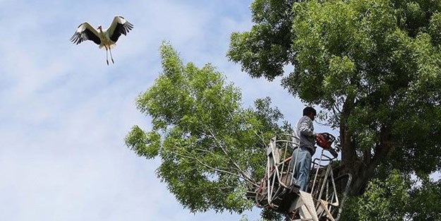 Uçuş güzergahları için seferber oldular!