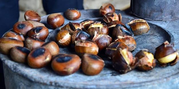 Ucuz diye sakın almayın... İşte Çin kestanesinin 3 farkı