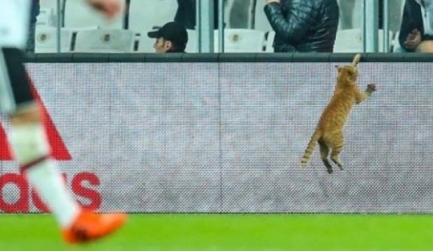 UEFA'dan Beşiktaş'a para cezası