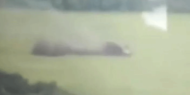 Ukrayna, alçak uçuş yapan Rus helikopterini vurdu