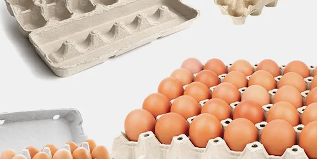 Ukrayna, karton yumurta kutusunu da Türkiye'den almak istiyoruz diyerek duyuru yaptı! Talep ilan edildi