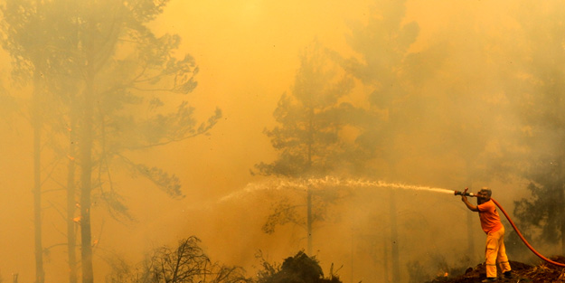 Ukrayna'da orman yangını! 11 bin hektar alan zarar gördü