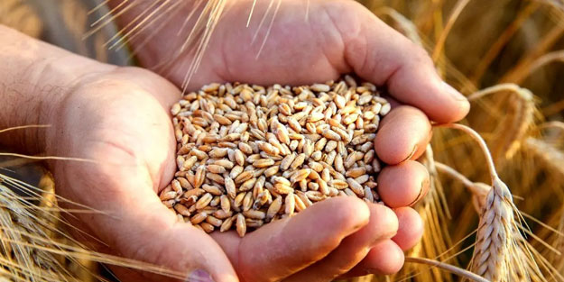 Ukrayna'dan 'küresel gıda krizi' açıklaması