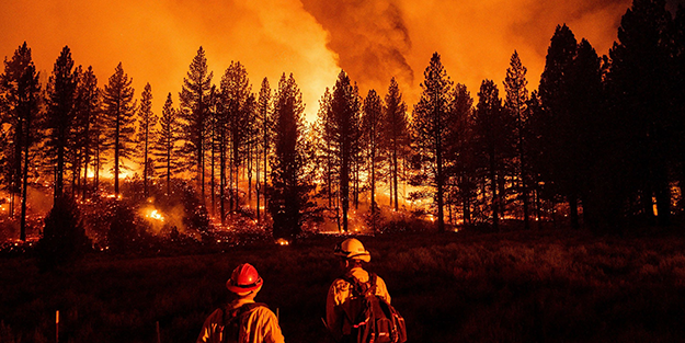 Ülke yanıyor! 800 orman alev altında