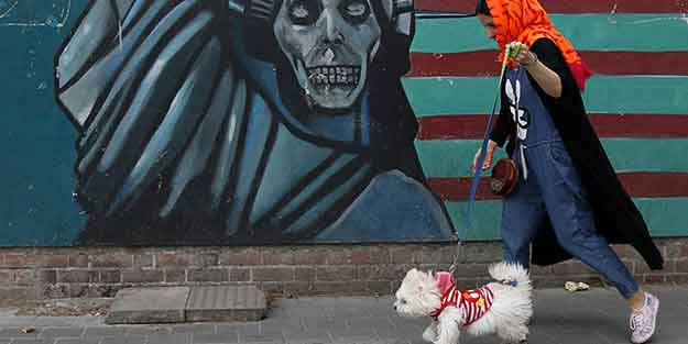 Ülkede köpek gezdirmek yasaklandı! Büyük yaptırım geliyor