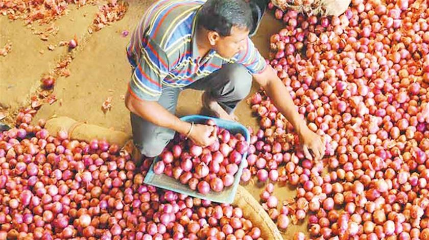 Ülkede soğan krizi! Soğan karakolda satılacak