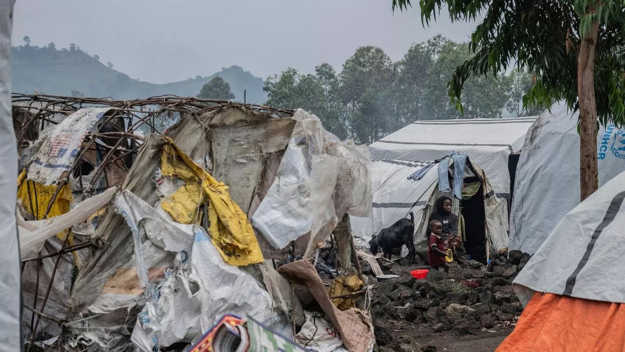 Ülkelerinde altın, elmas, bakır, petrol ne ararsan var! 72 saat süre teklif edildi!
