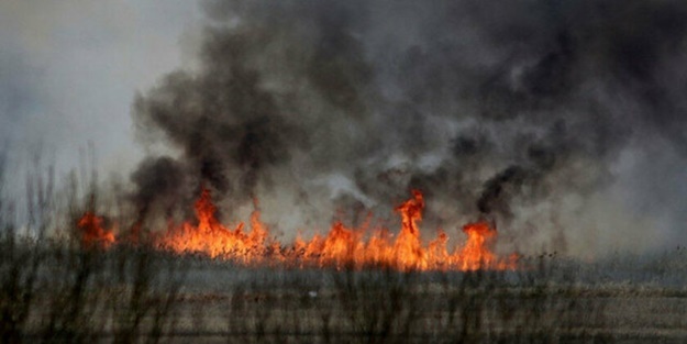 O ülkenin en büyük milli parkı yanıyor