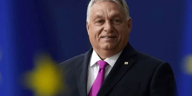 Ülkeyi neler bekliyor? Avrupa'da aşırı sağ yükseliyor!: İttifak kuruldu