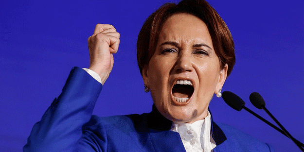 “Ülkücü” İYİ Partililer buna ne diyecek? HDP’den Akşener’e yeşil ışık!