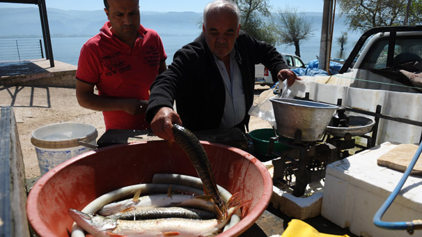 Uluabat gölünde balıkçılar turnayı gözünden vurdu