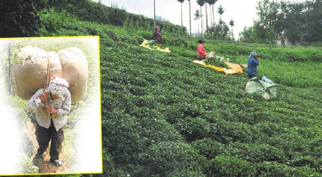 Uluağaç köyünde kadınların yük taşıması yasak