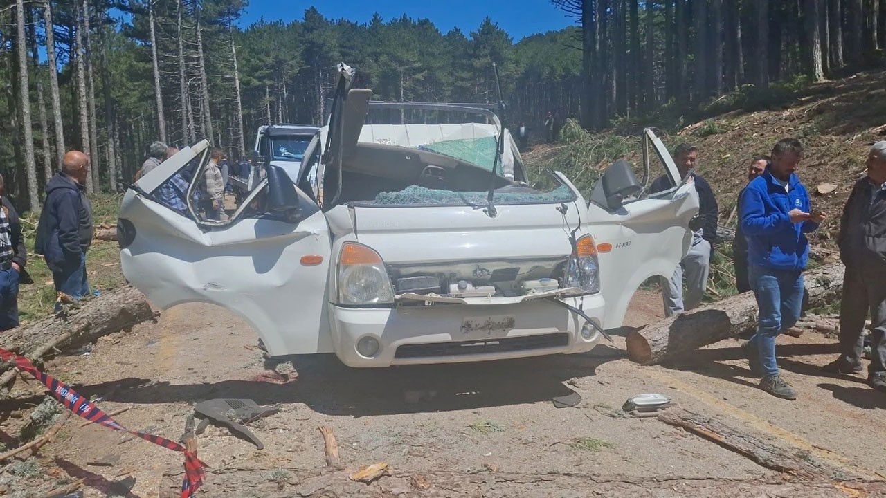 Uludağ’da korkunç olay! Kesilen ağaç seyir halindeki kamyoneti ezdi: 1 kişi öldü, 2 kişi yaralandı