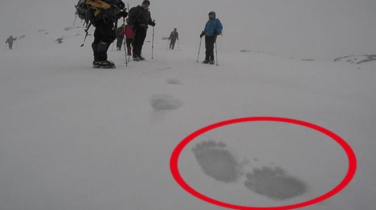 Uludağ'da şaşkına çeviren ayak izleri