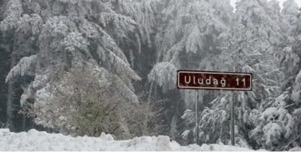 Uludağ'a tatile gidenler şokta! 10 kişiye 76 bin lira ceza