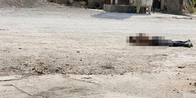 Uludere'de eyleme gelen PKK'lı öldürüldü