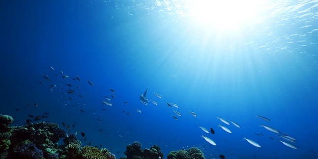 Uluslararası Atom Enerjisi Ajansı, Fukuşima'daki atık suyun okyanusa tahliyesini denetliyor