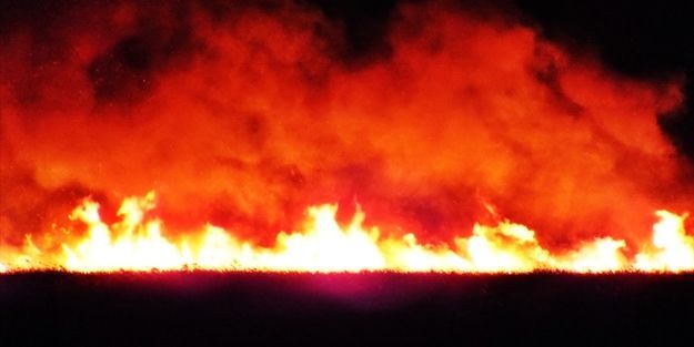 Uluslararası sözleşmeye korunan deltada yangın!