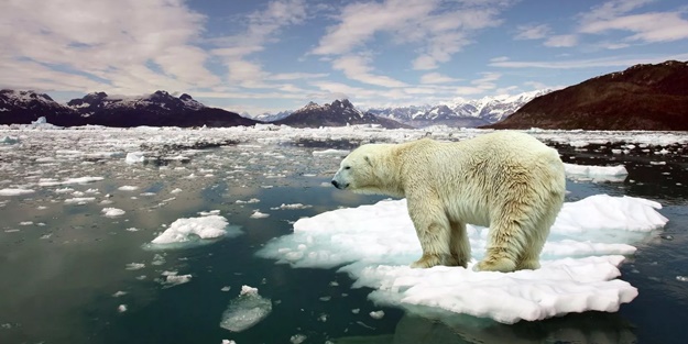 Uluslararası topluma kritik çağrı
