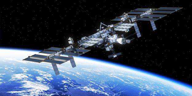 Uluslararası Uzay İstasyonuna mürekkep balıkları yollanacak