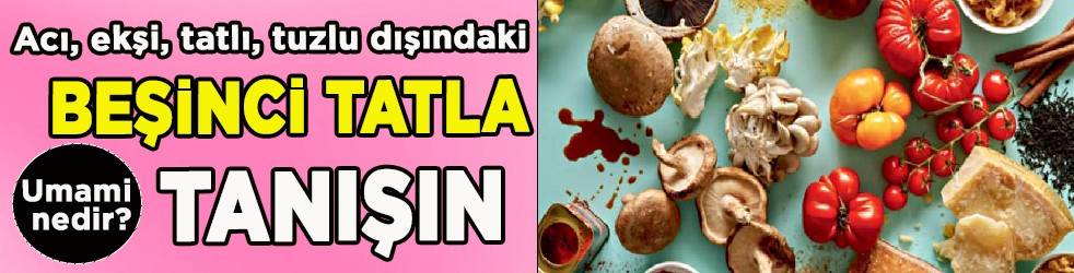 Umami nedir? Nasıl bir tadı var? Acı, ekşi, tatlı, tuzlu dışındaki beşinci tatla tanışın