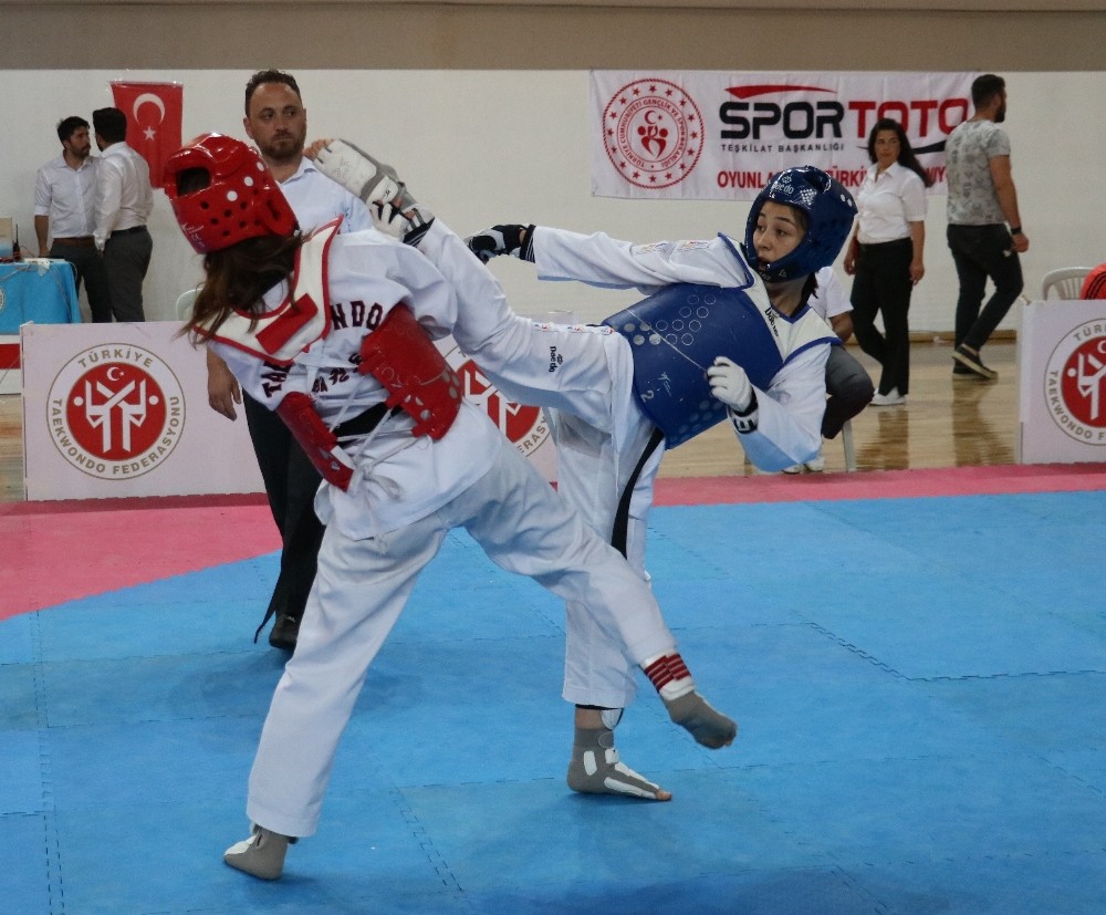 Ümitler Türkiye Taekwondo Şampiyonası Sivas’da başladı 