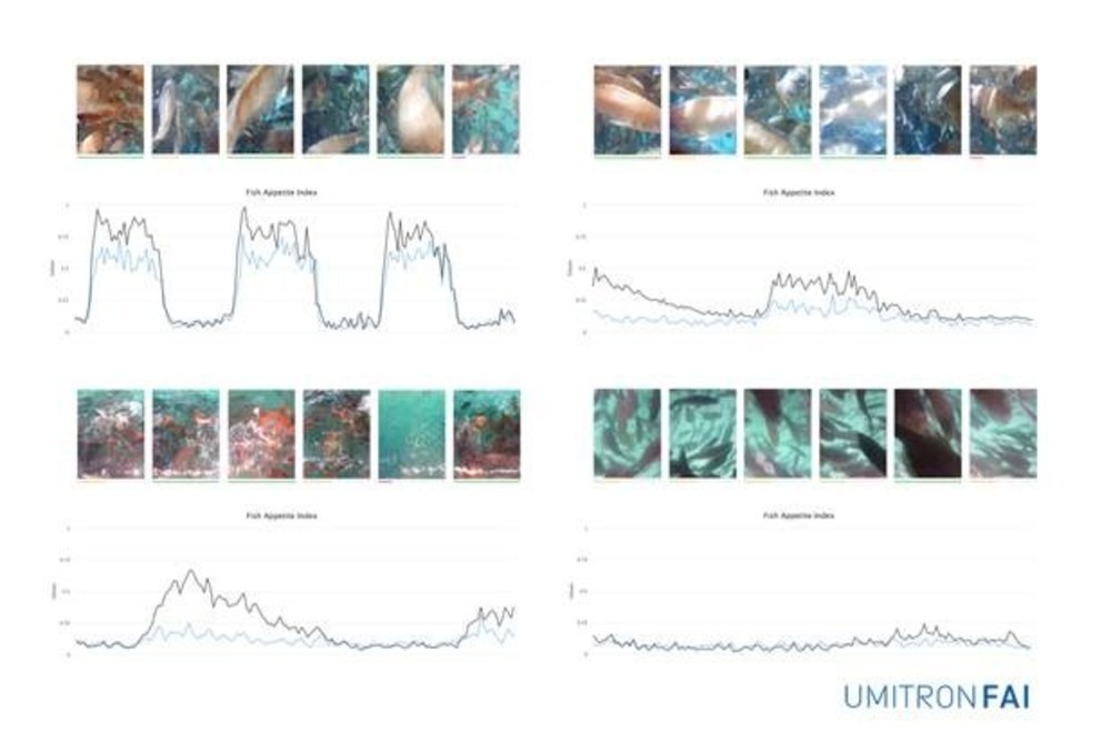 UMITRON, Fish Appetite Index’i piyasaya sürdü 