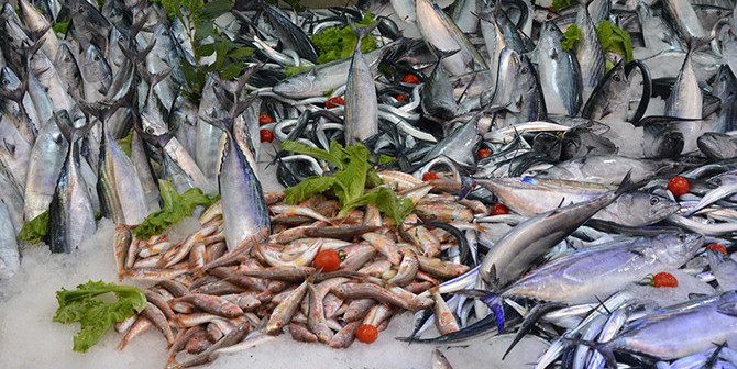  Balık tutacak girişimci aranıyor