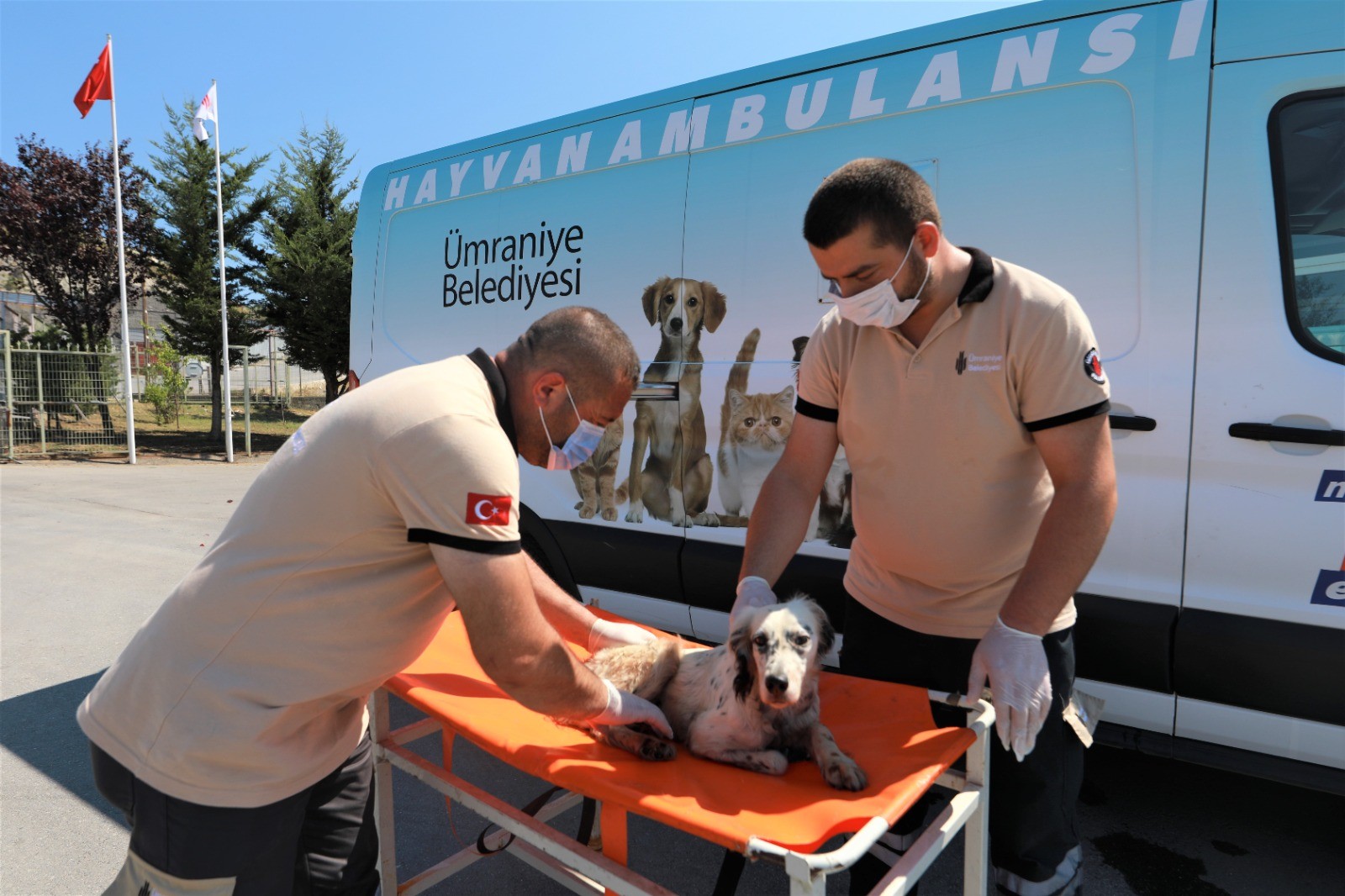 Ümraniye Belediyesi Hayvan Sağlık Hizmeti'nde İstanbul'da bir ilki gerçekleştirdi